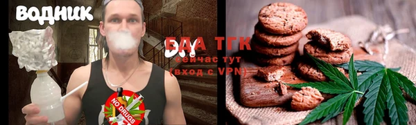 дживик Верхний Тагил
