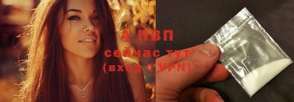 дживик Верхний Тагил