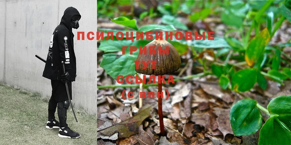 первитин Володарск