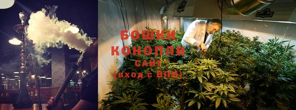 ГАЛЛЮЦИНОГЕННЫЕ ГРИБЫ Верхнеуральск