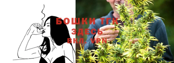 дживик Верхний Тагил
