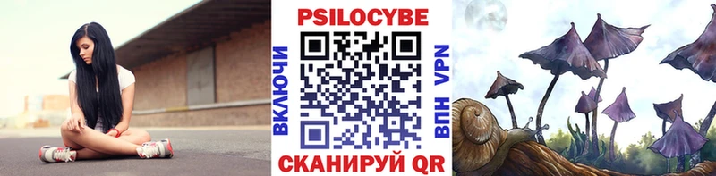 Купить Белая Калитва Псилоцибиновые грибы Psilocybine cubensis